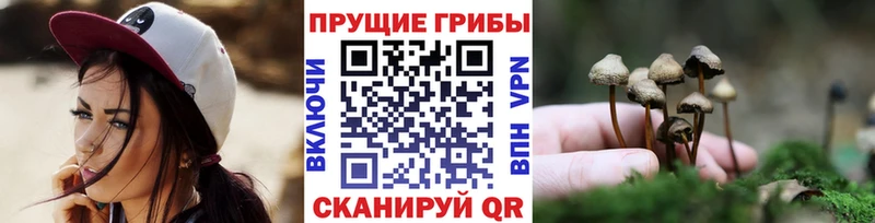 Галлюциногенные грибы прущие грибы продажа наркотиков Плавск